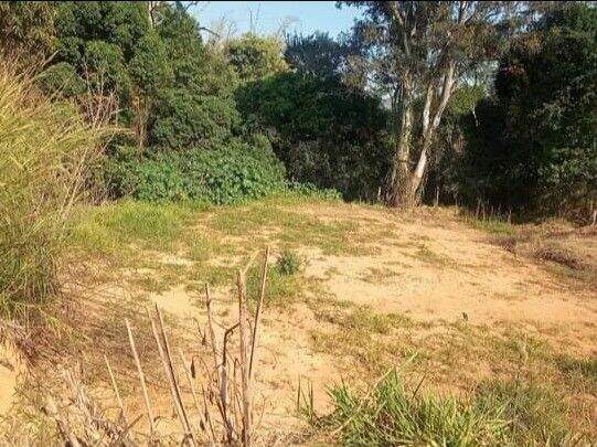 Terreno à venda no Pau Arcado: 