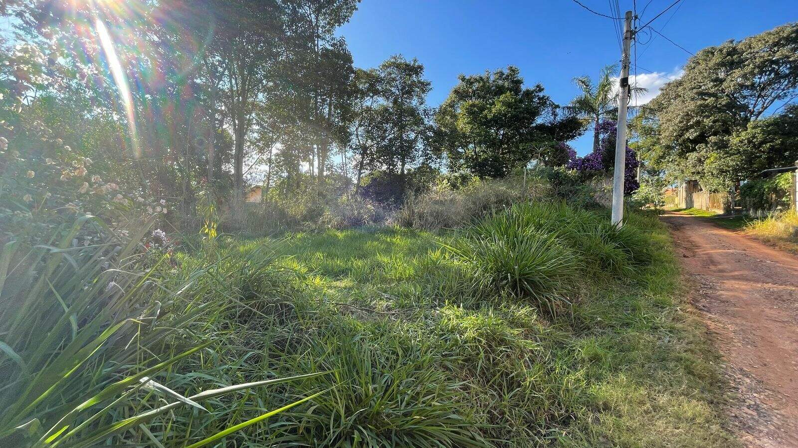 Terreno à venda no Chácaras Nova Germânia: 