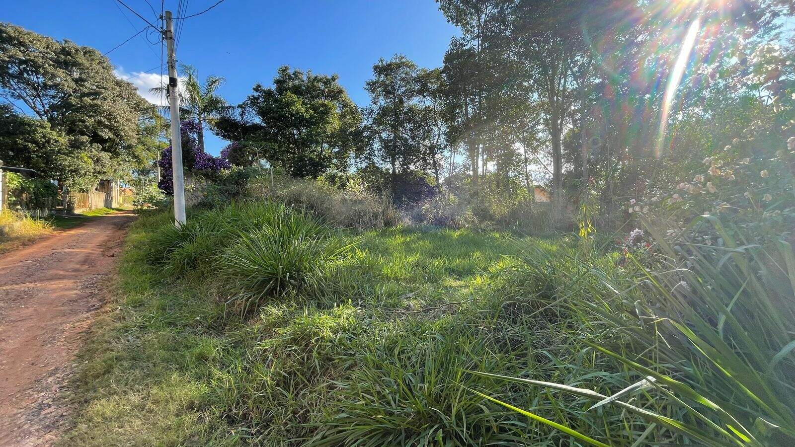 Terreno à venda no Chácaras Nova Germânia: 