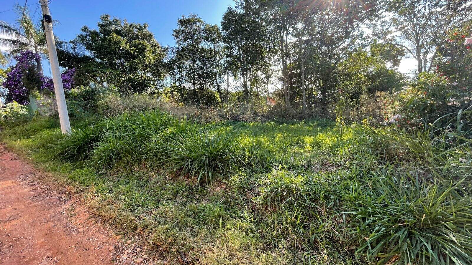 Terreno à venda no Chácaras Nova Germânia: 