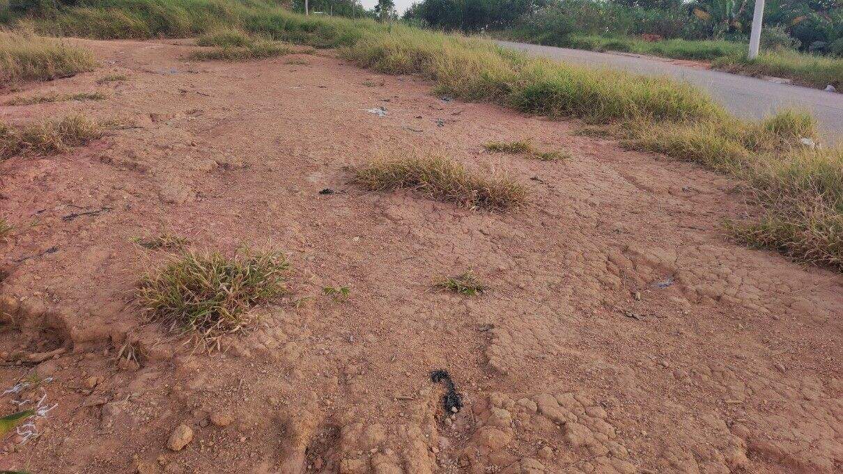 Terreno à venda no Jardim Bertioga: 