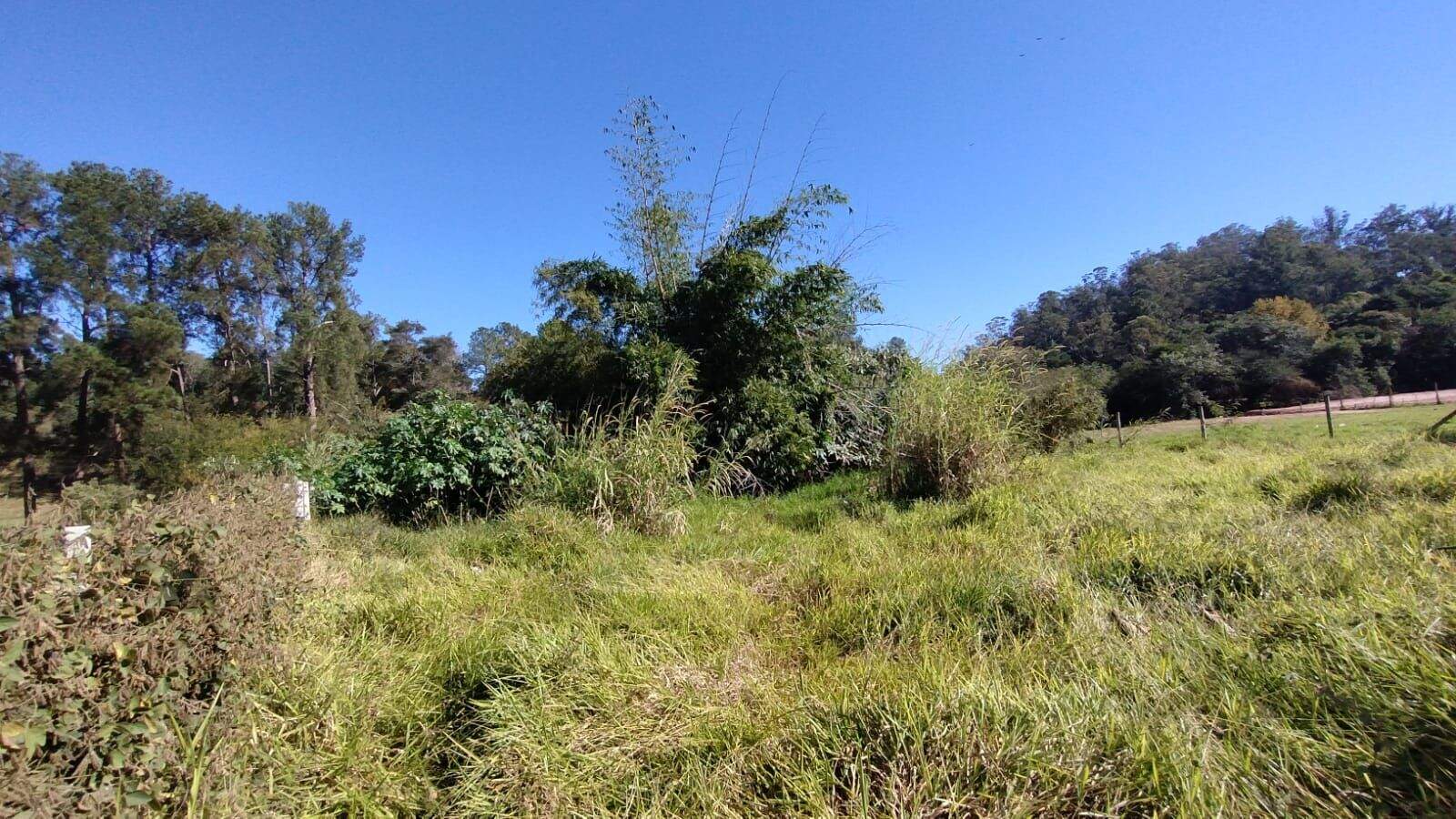 Terreno à venda no Parque Centenário: 