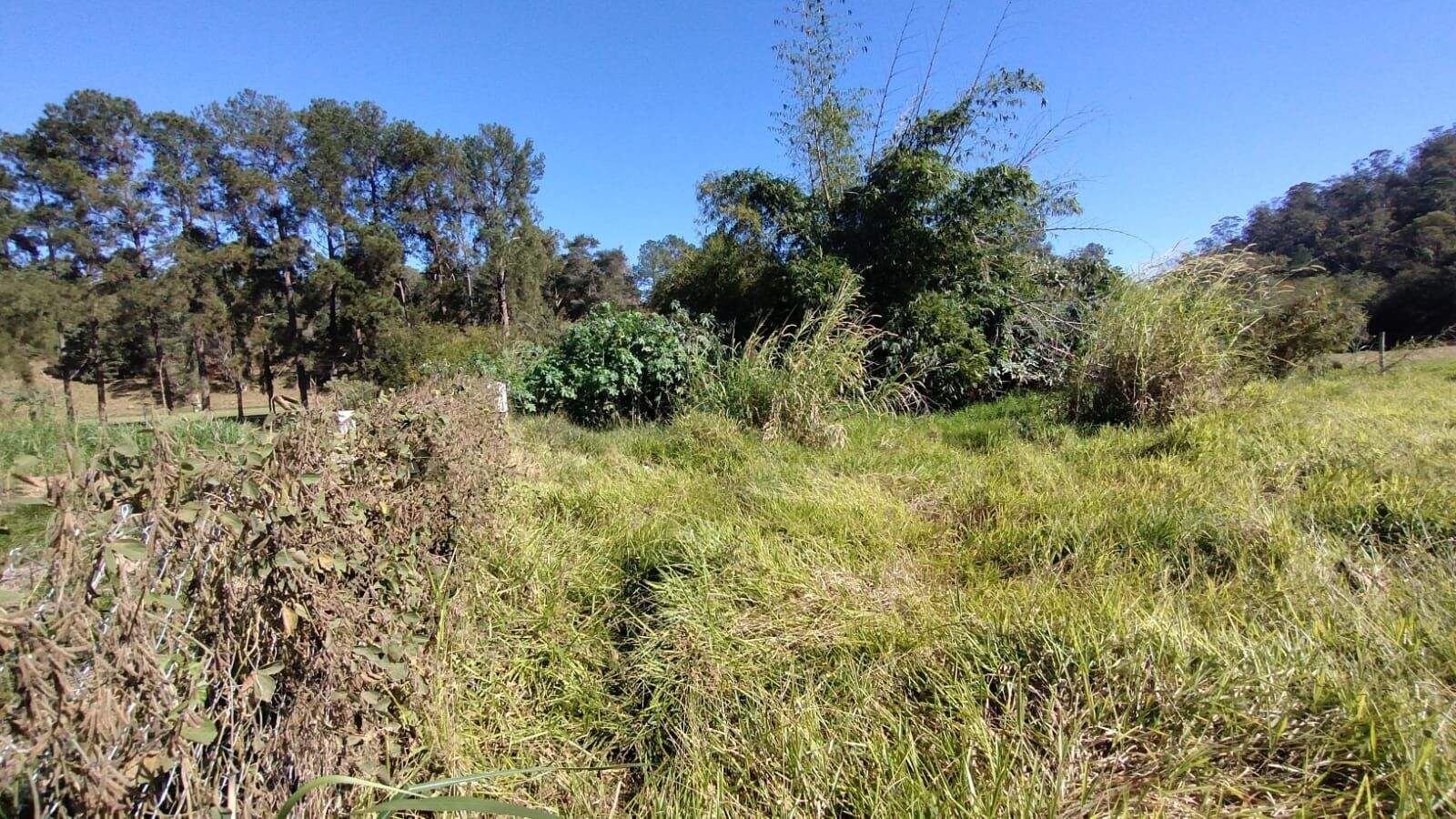 Terreno à venda no Parque Centenário: 