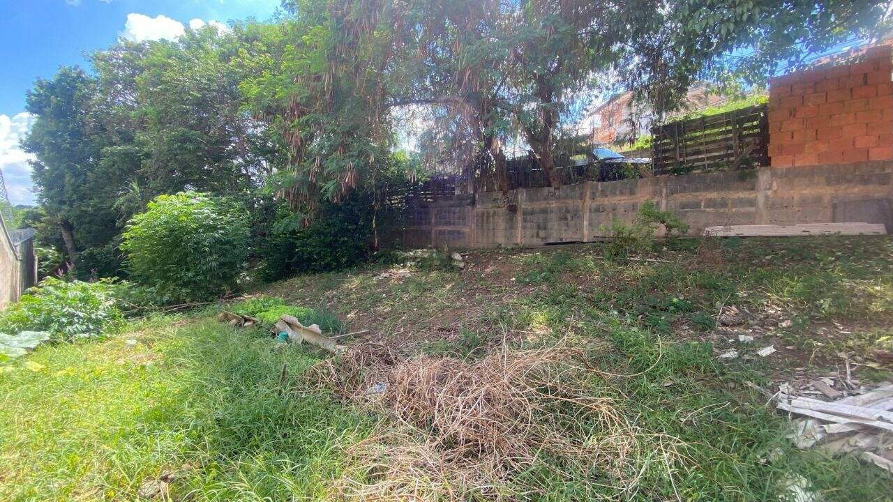 Terreno à venda no Jardim Pacaembu: 