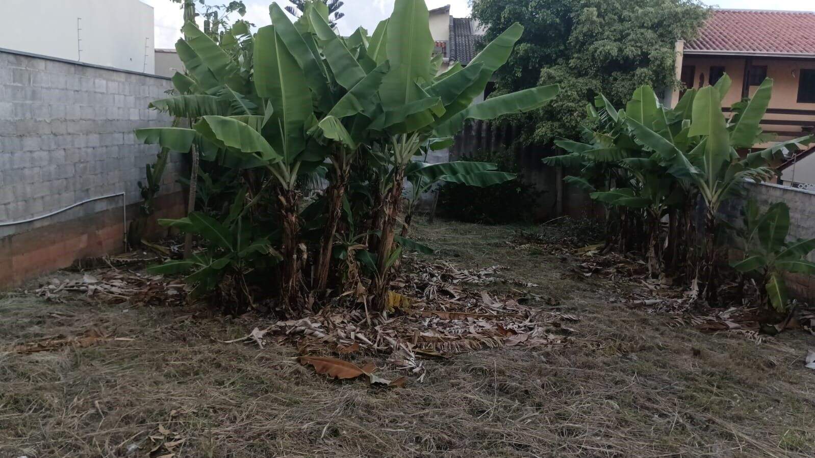 Terreno à venda no Horto Santo Antonio: 