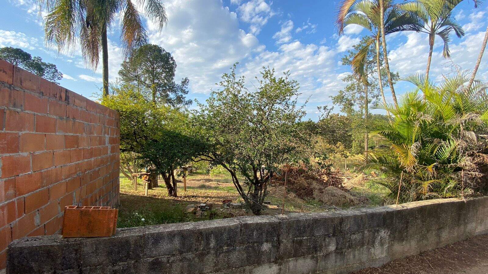 Chácara à venda no Chácara São Francisco: 