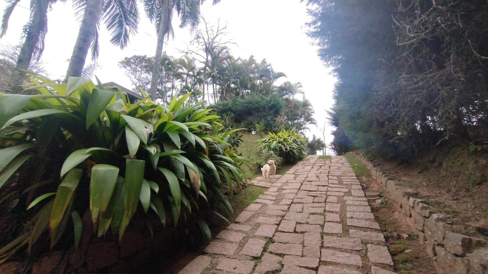 Chácara à venda no Pau Arcado: 