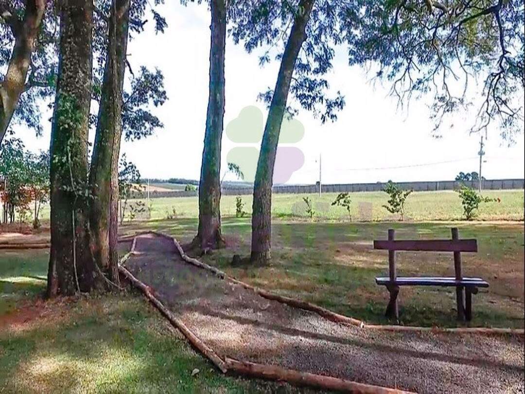 Galpão para aluguel no Jardim Primavera: 