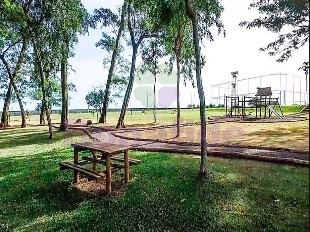 Galpão para aluguel no Jardim Primavera: 