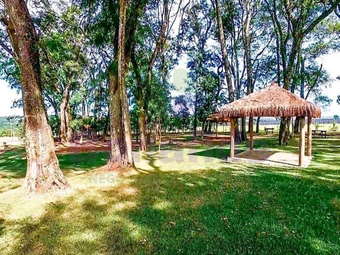 Galpão para aluguel no Jardim Primavera: 