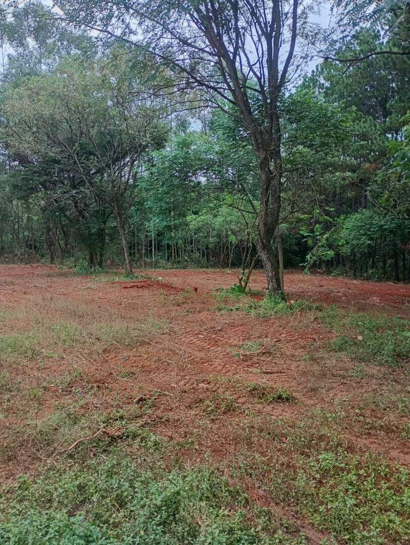Terreno para aluguel no Jundiaí Mirim: 