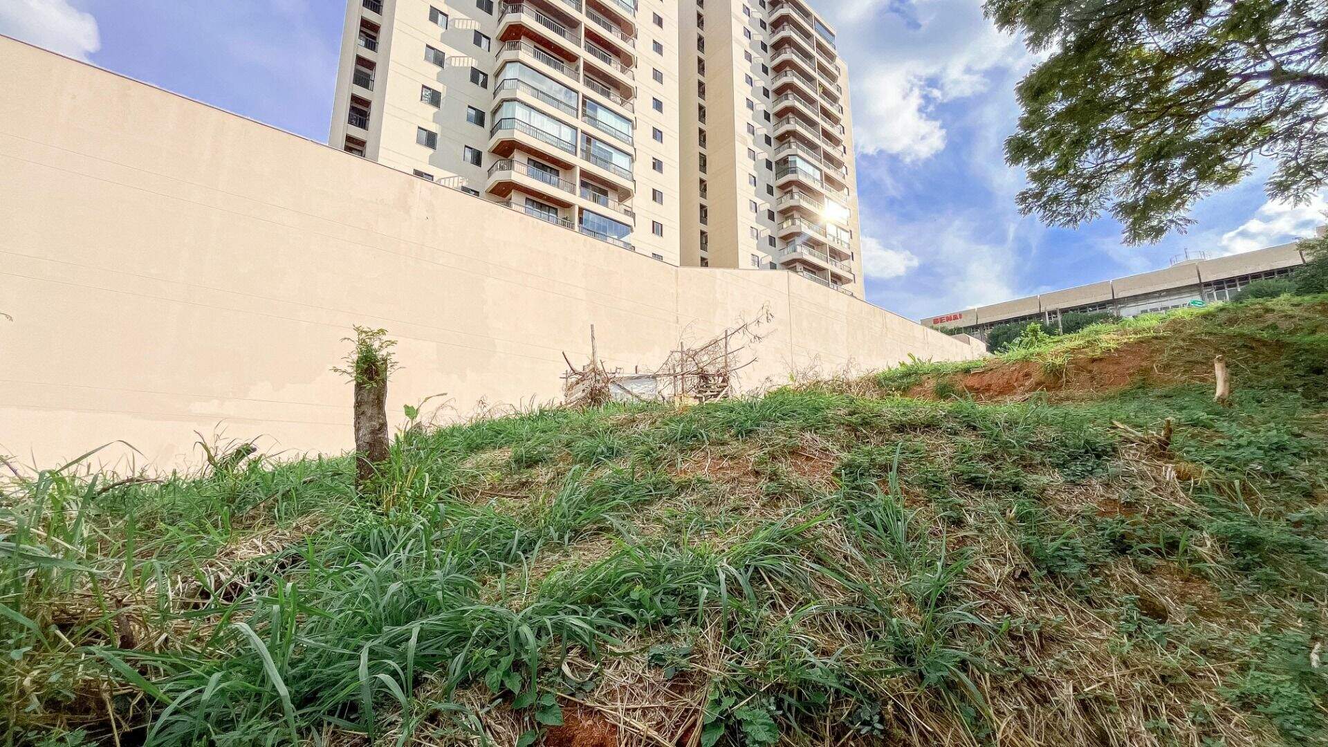 Terreno para aluguel no Anhangabaú: 