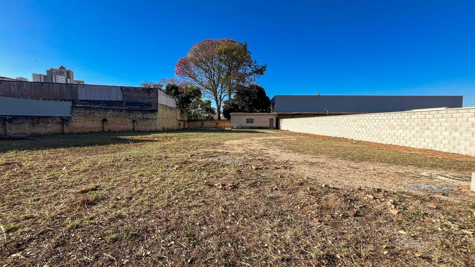 Terreno para aluguel no Vianelo/Bonfiglioli: 