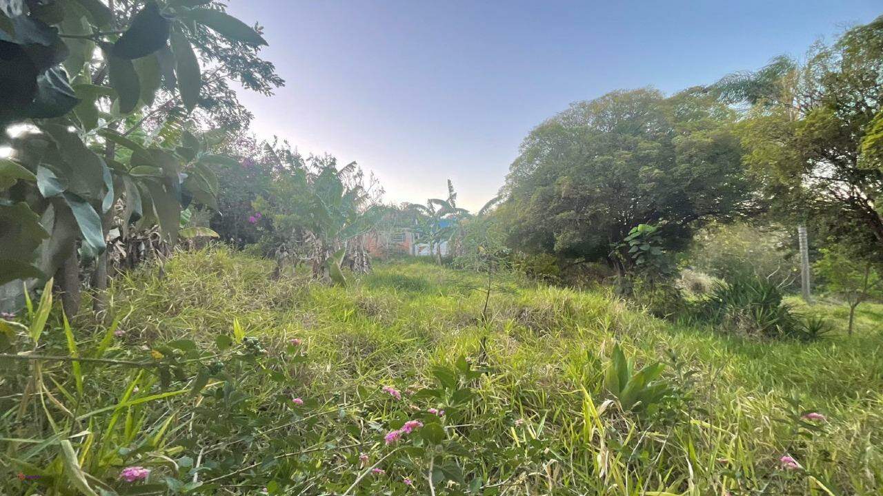 Terreno para aluguel no Engordadouro: 