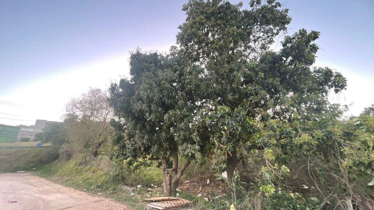 Terreno para aluguel no Engordadouro: 