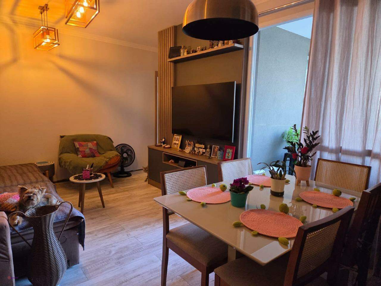 Apartamento à venda no Horto Florestal: 