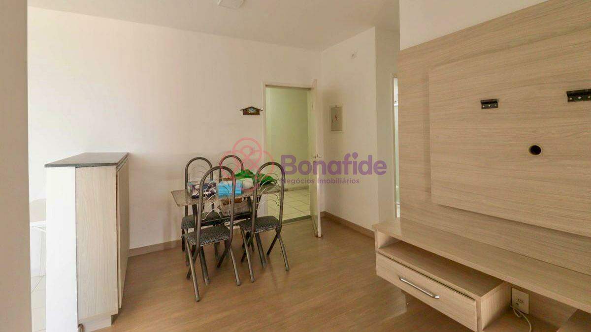 Apartamento para aluguel no Jardim Roma: 