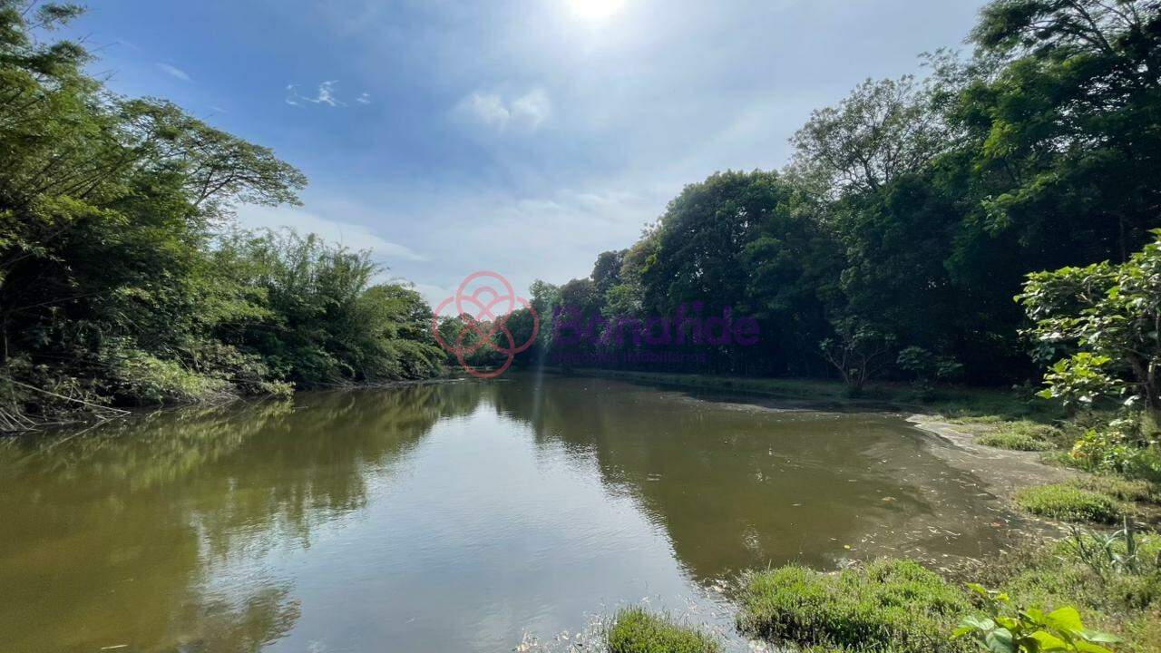 Sítio à venda no Jardim Celeste: 