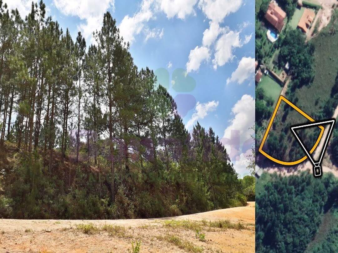 Terreno à venda no Campo Realengo: 