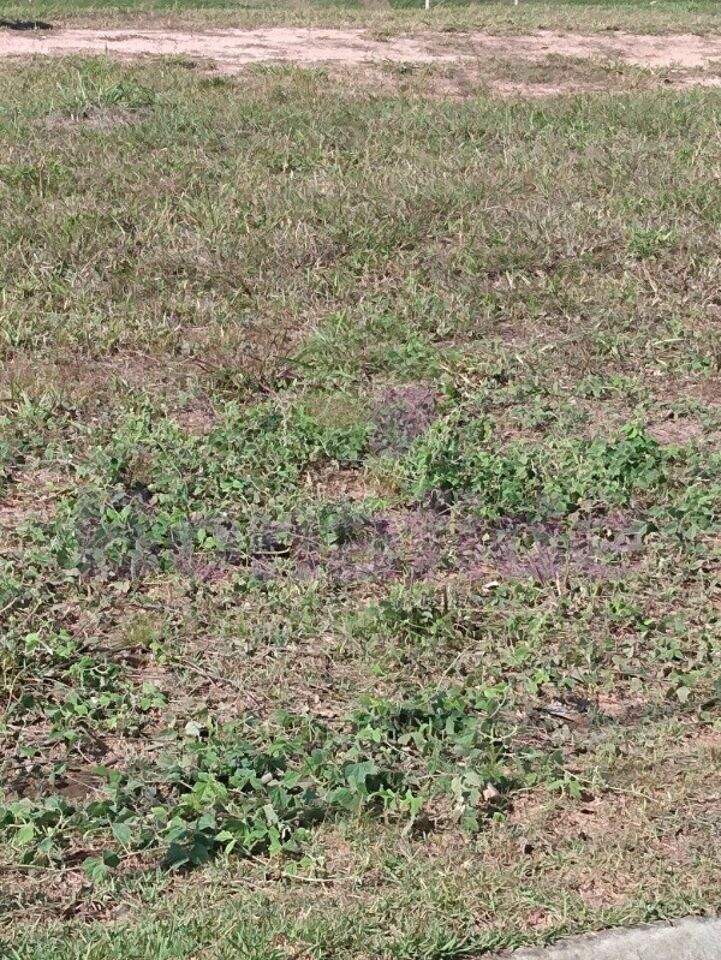 Terreno à venda no Jardim Santa Teresa: 