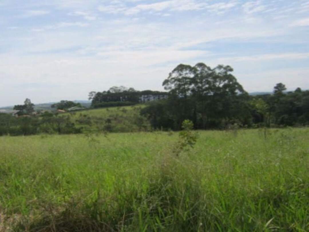 Área à venda no Morro Alto: 