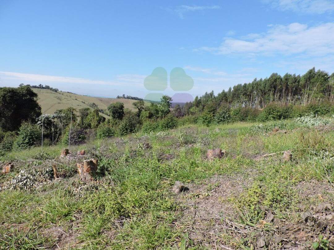 Terreno à venda no Pitangal: 