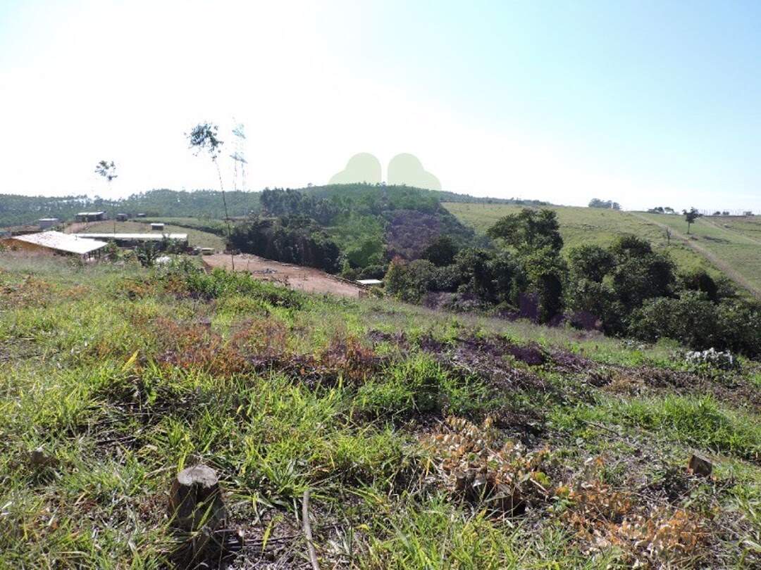 Terreno à venda no Pitangal: 