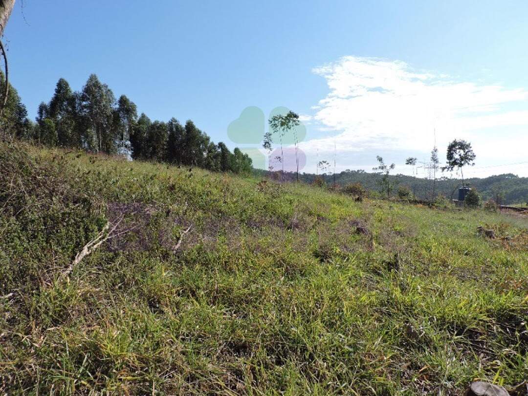 Terreno à venda no Pitangal: 