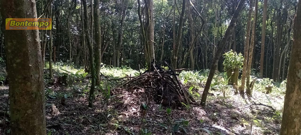 TERRENO à venda no BAIRRO DO CARMO MESSIAS: 
