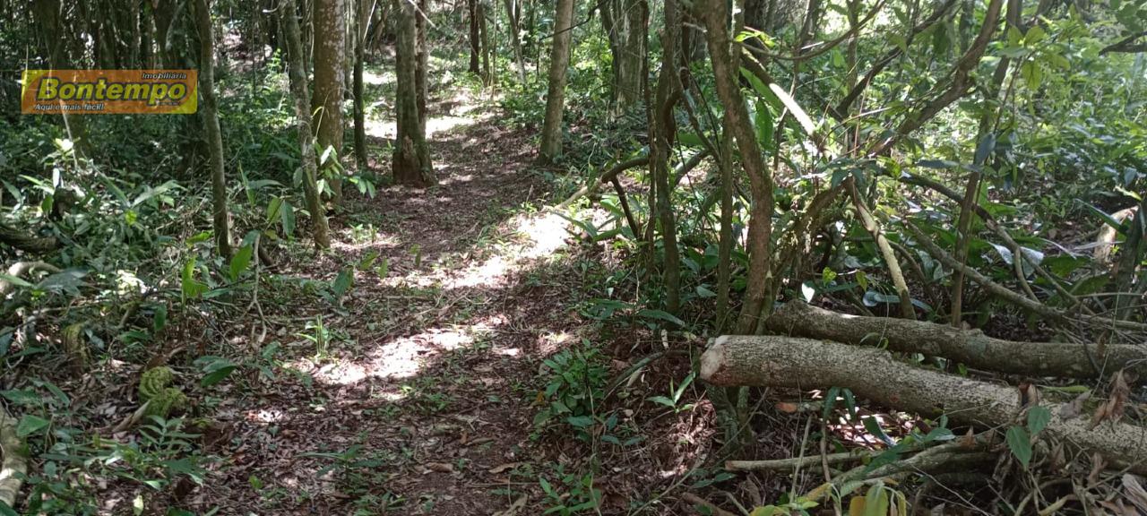 TERRENO à venda no BAIRRO DO CARMO MESSIAS: 