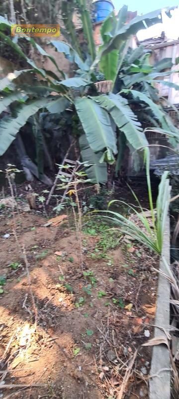 TERRENO à venda no VILA MARIA HELENA: 