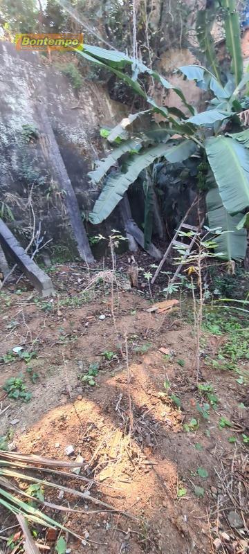 TERRENO à venda no VILA MARIA HELENA: 
