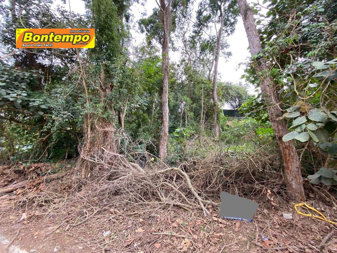 TERRENO à venda no Chácara Santa Lúcia: 