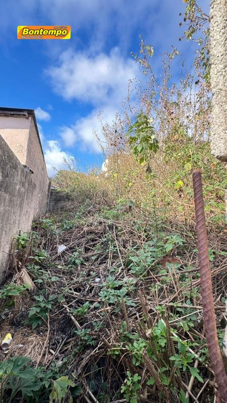 TERRENO para aluguel no VILA CRETTI: 