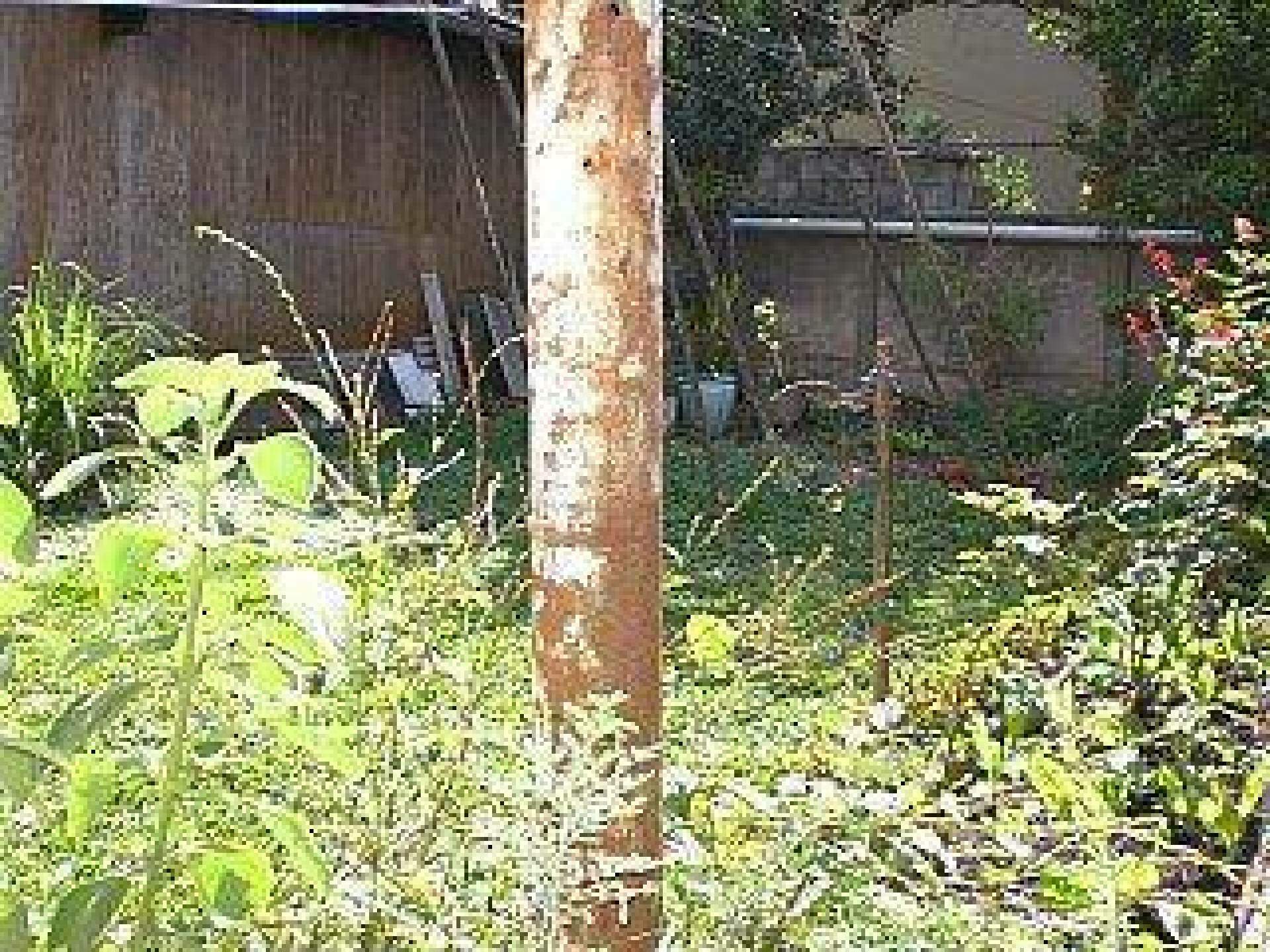 Lote/Terreno à venda no Jardim Pilar: 