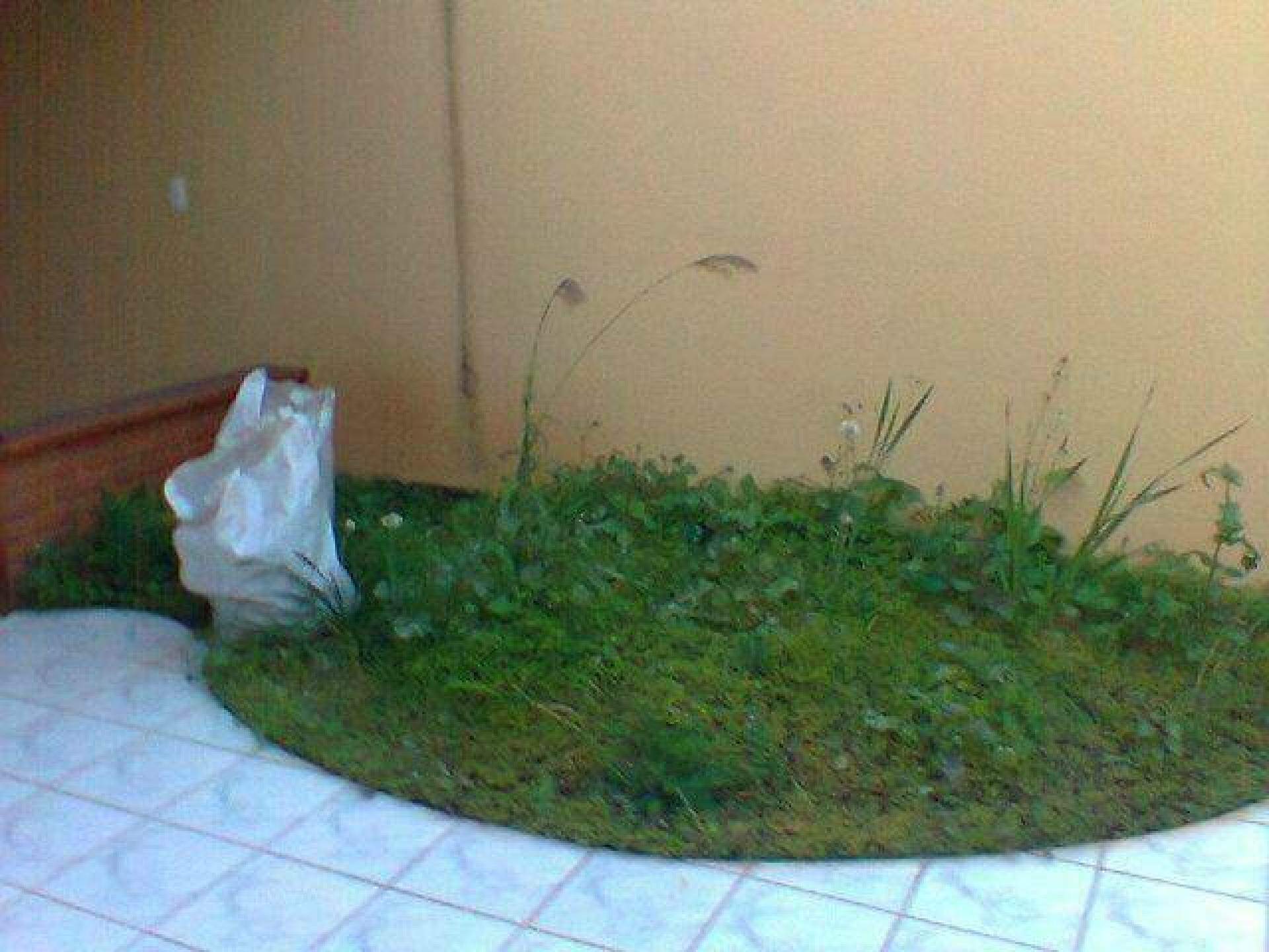 Sobrado à venda no Vila Valparaíso: 
