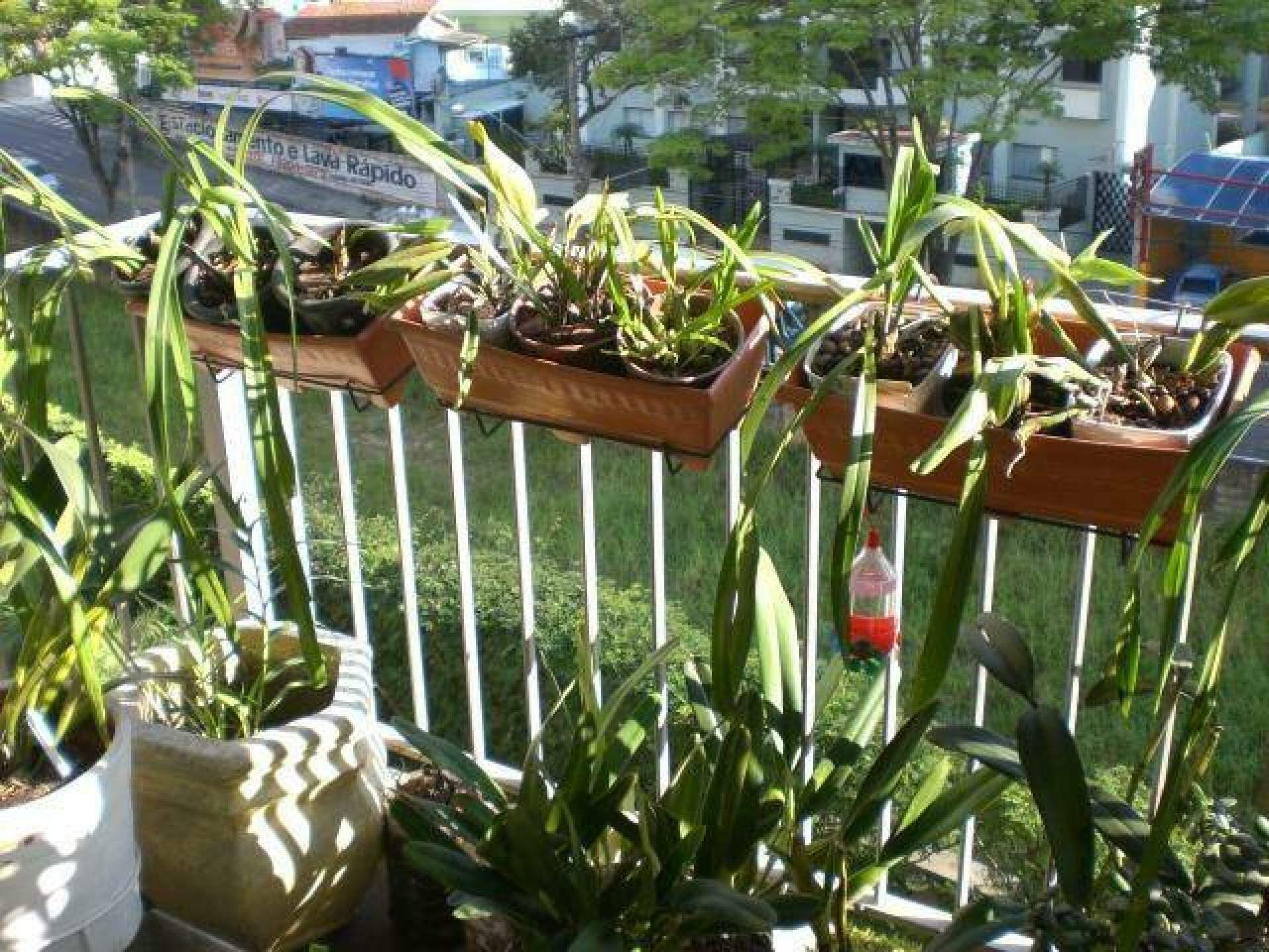 Apartamento à venda no Vila Bastos: 