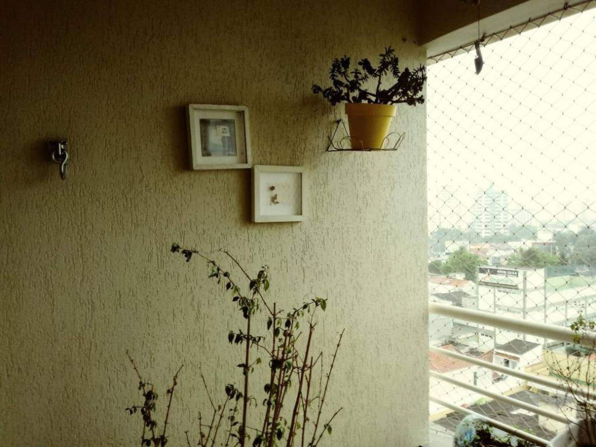 Apartamento à venda no Vila Boa Vista: 