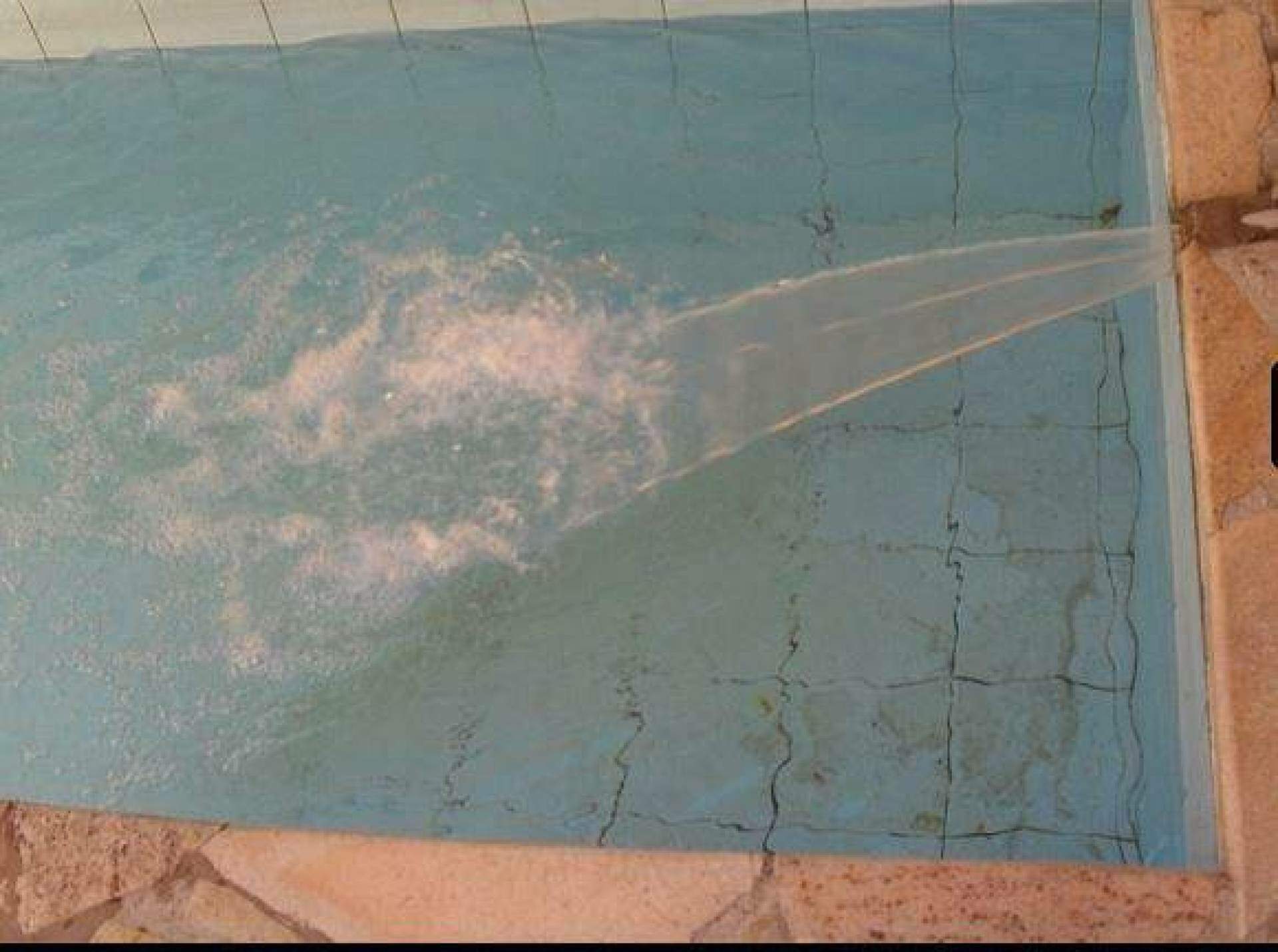 Sobrado à venda no Vila Flórida: 
