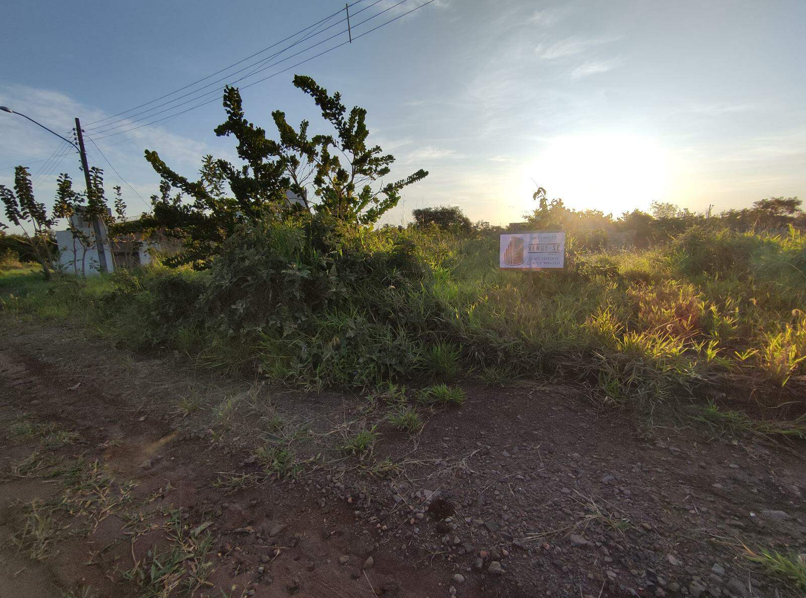 Terreno à venda no Vila Nasser: 