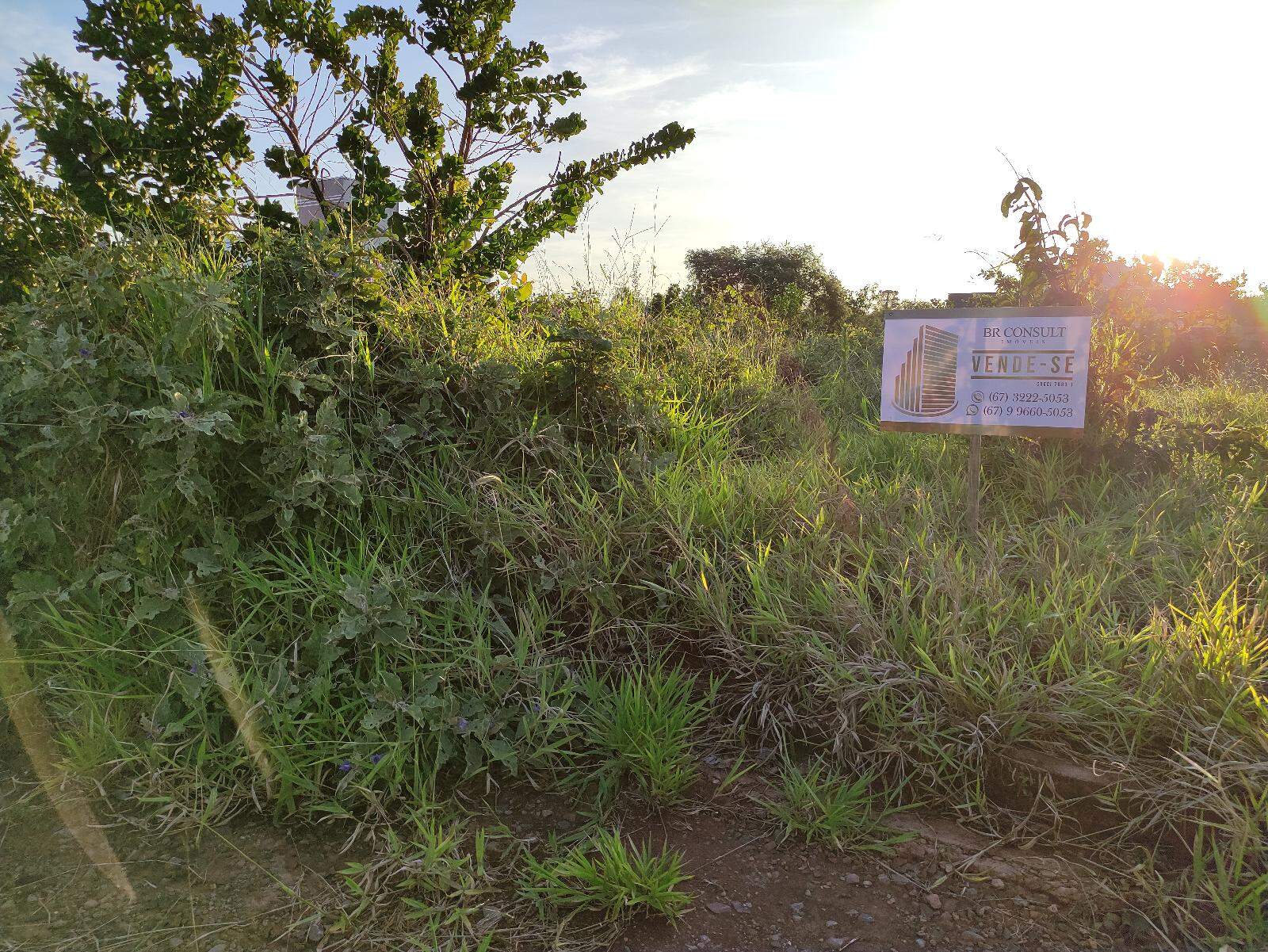 Terreno à venda no Vila Nasser: 