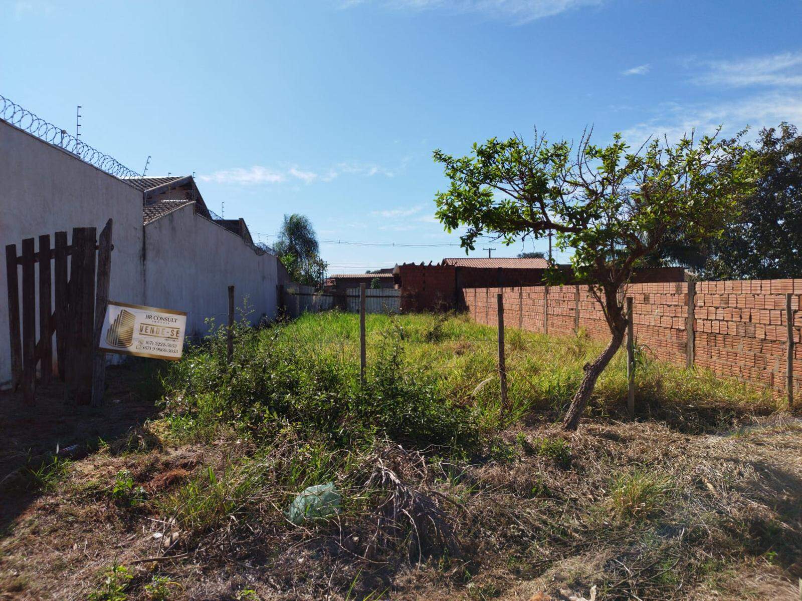 Terreno à venda no Centenário: 