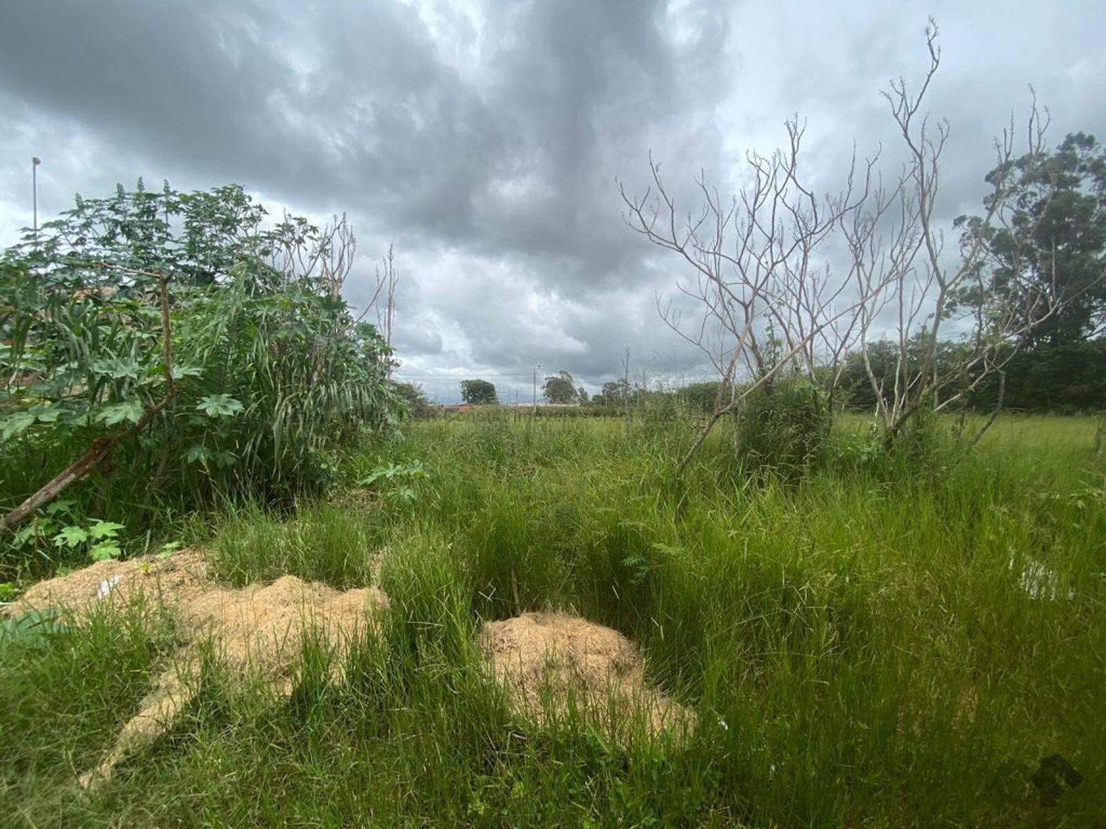 Terreno à venda no Rancho Alegre IV: 