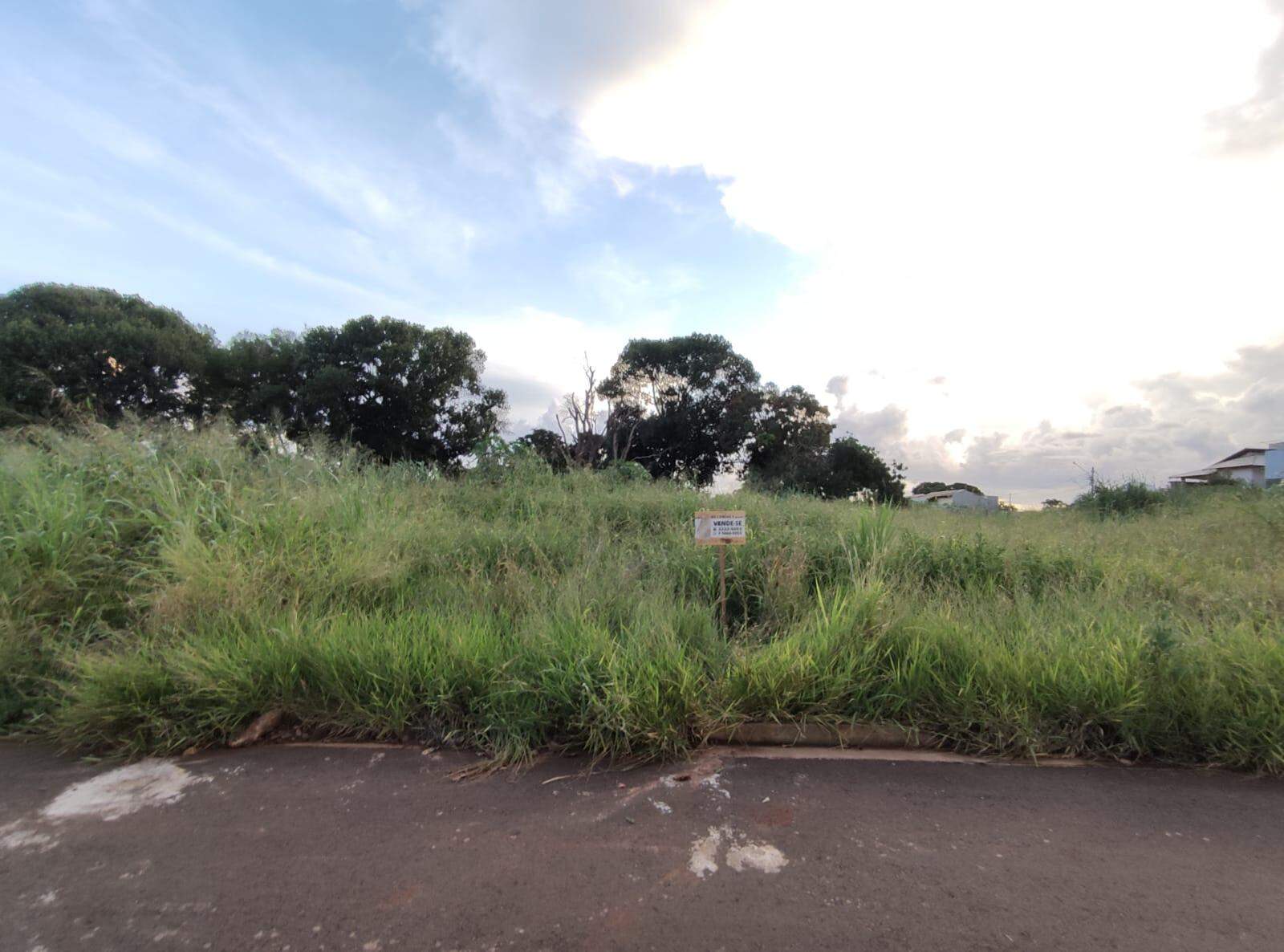 Terreno à venda no São Francisco: 