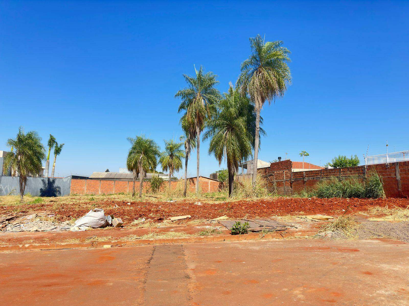 Terreno à venda no São Francisco: 
