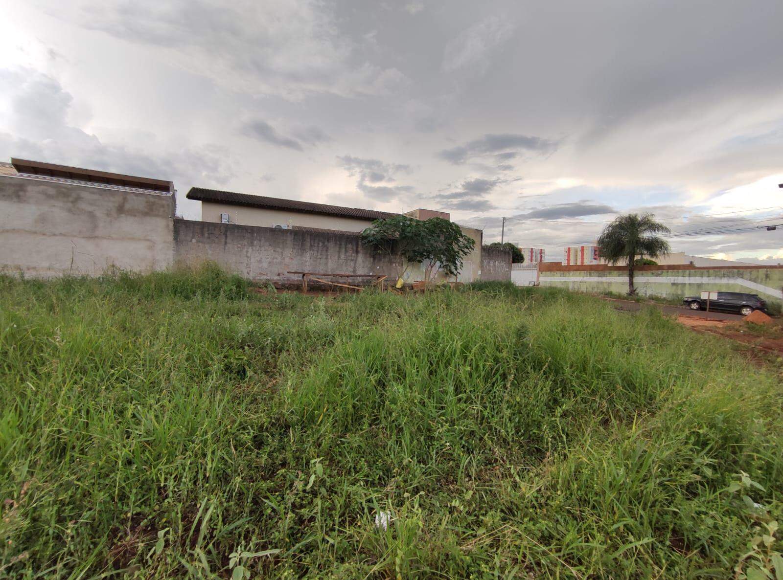Terreno à venda no São Francisco: 
