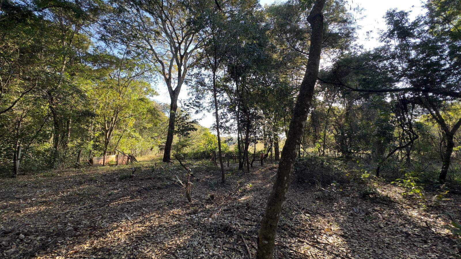 Chácara à venda no Área Rural de Campo Grande: 