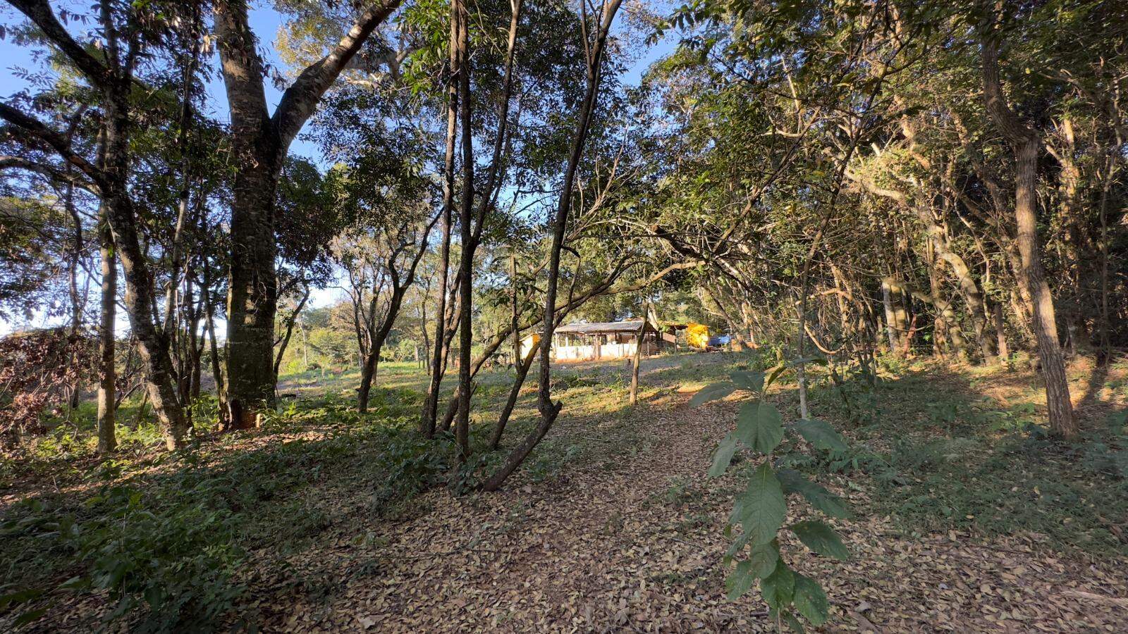 Chácara à venda no Área Rural de Campo Grande: 
