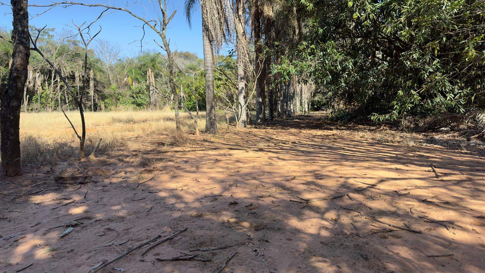 Chácara à venda no Área Rural de Campo Grande: 