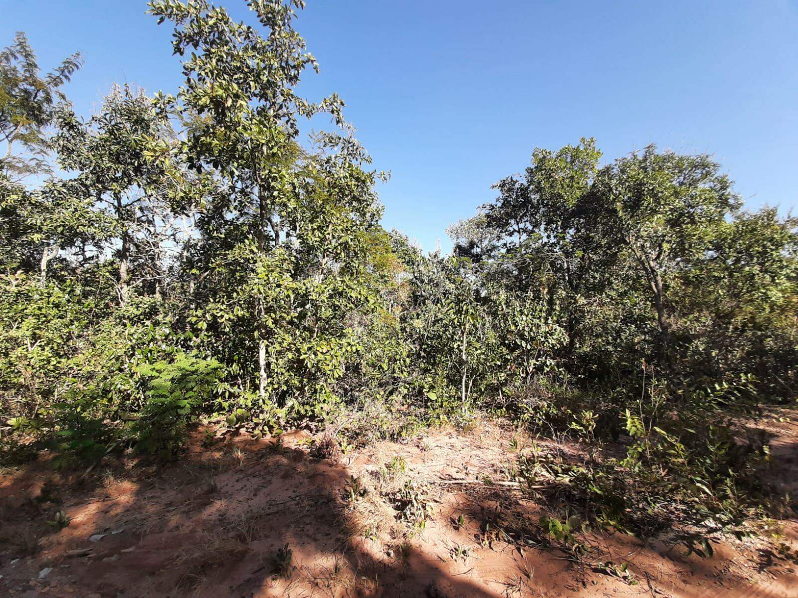 Área à venda no Parque Atlântico: 